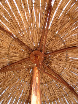 parasol
