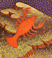 kreeft